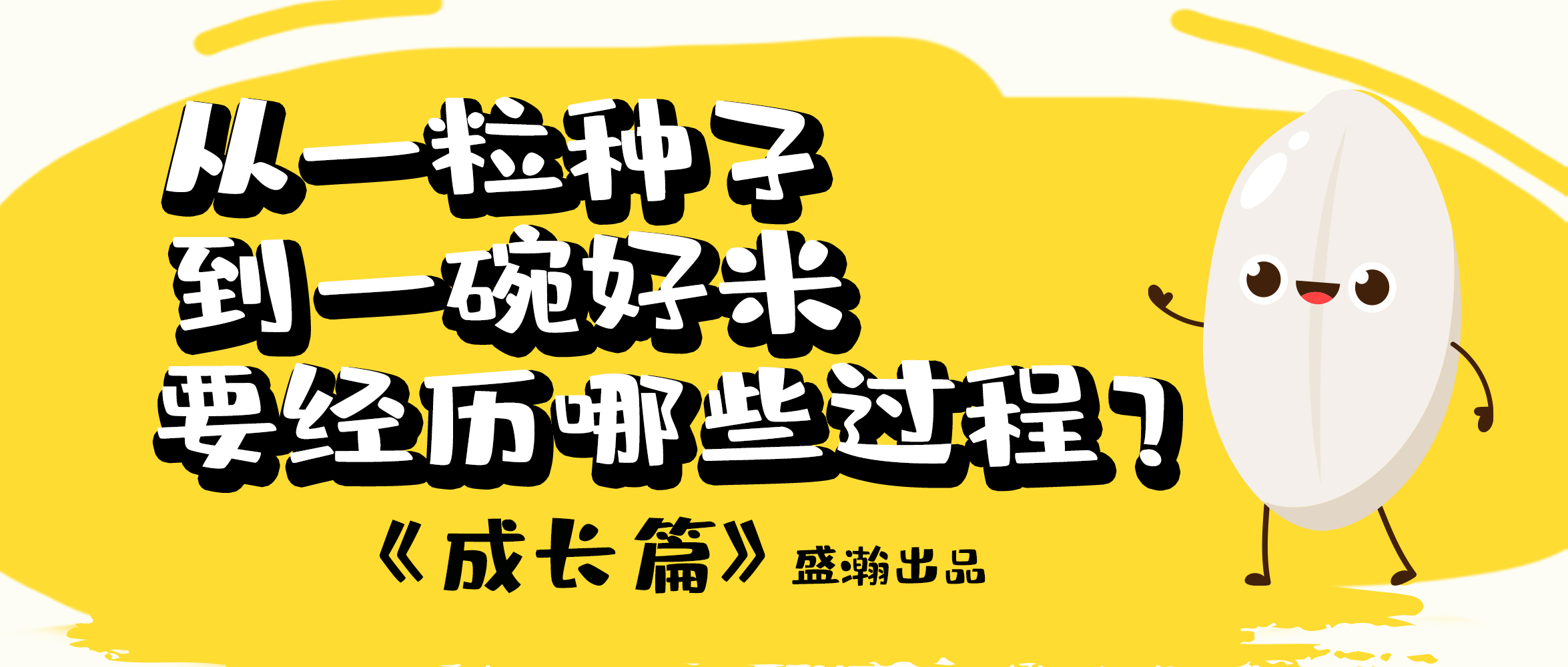 大米的一生-成長篇 | 從一粒種子到一碗好米要經(jīng)歷哪些過程？